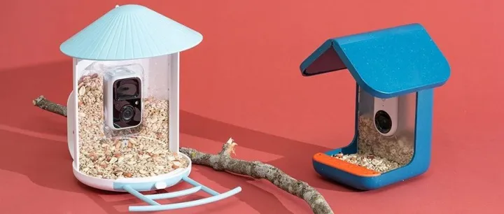 养猫过时了？智能养宠“新赛道”爆发增长，一年拿下千万美金GMV