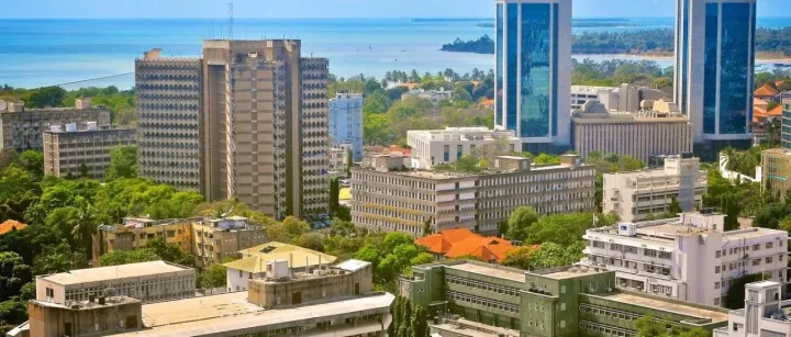 坦桑尼亚禁止非公民从事15类商业活动！中国企业该何去何从？