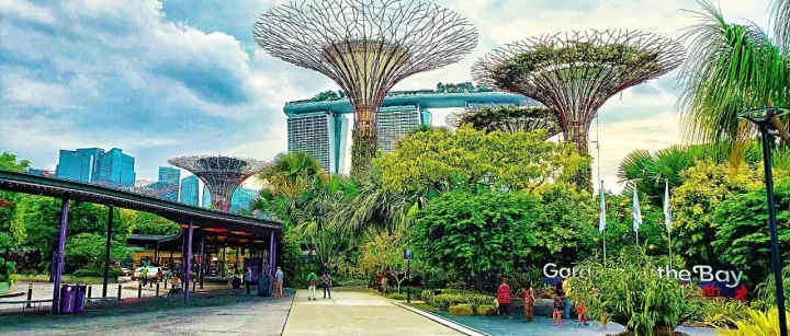 新加坡初成立公司税收减免计划，全面讲解来了