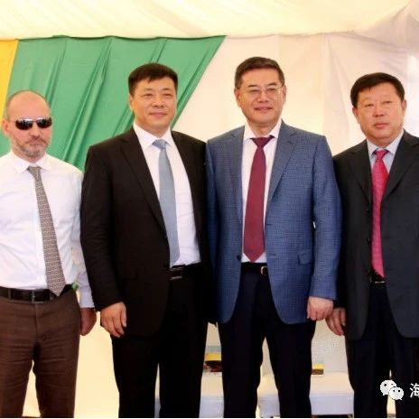 几内亚西芒杜赢联盟董事局主席、韦立集团的老板是谁?有什么来头?- 大数跨境