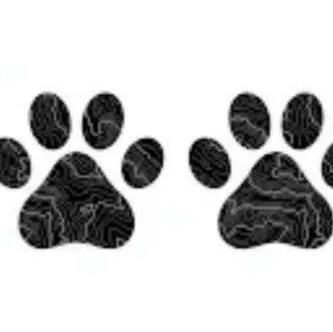 Jeep、<em>Dodge</em>、Ram 等车标销售高危！FCA US 启动诉讼