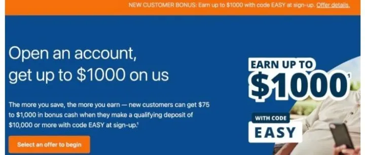 Raisin 储蓄平台：4.3%<em>APY</em>+$1000奖励