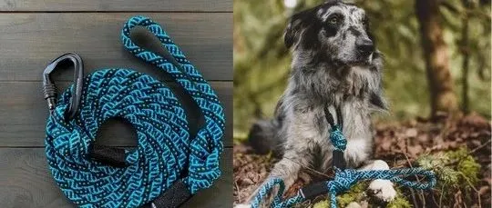 拴狗的登山绳竟成北美爆款印钞机！Wilderdog的跨境逆袭密码