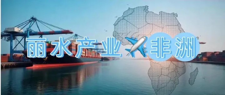 浙江产业带与非洲市场适配逻辑-丽水篇