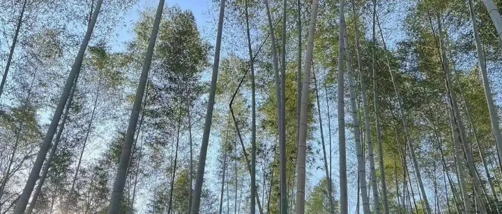 时间是一个过滤器