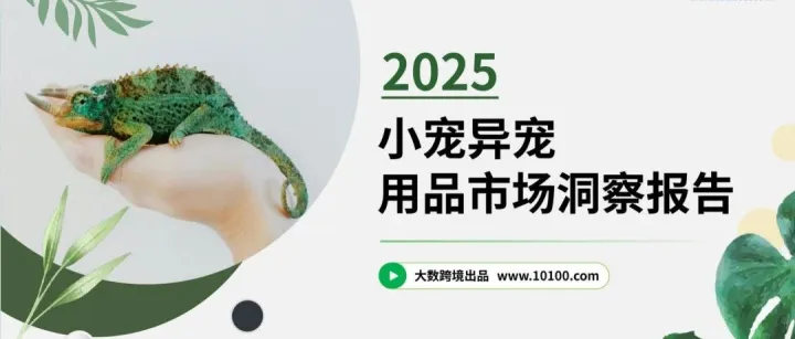 大数跨境：2025小宠异宠用品市场洞察报告