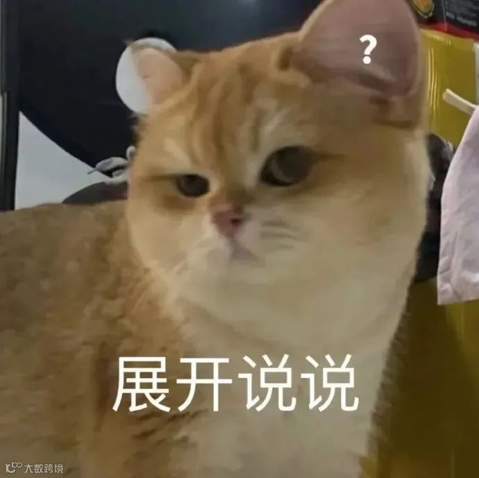猫猫表情包 - 堆糖，美图壁纸兴趣社区