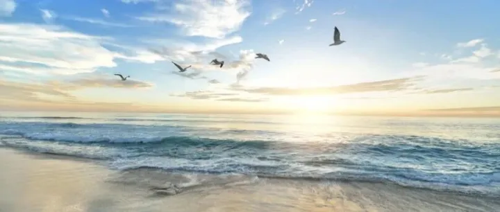 黑五备战要赢不要卷，TikTok Shop全托管商家大会透露“五步”带你抢赢全年