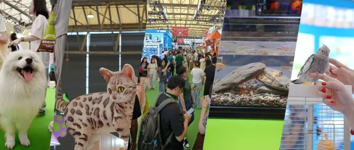 寵物經(jīng)濟熱力全開！亞寵展上這些品類已經(jīng)熱銷eBay？！