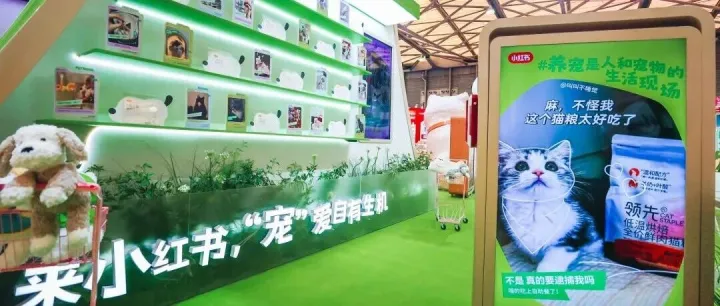 从“卖功能”到“建关系”：小红书正在成为宠物品牌种草首选