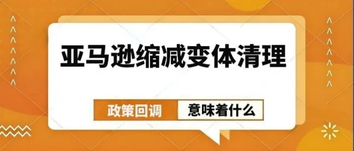 亚马逊缩减变体清理：政策回调意味着什么？