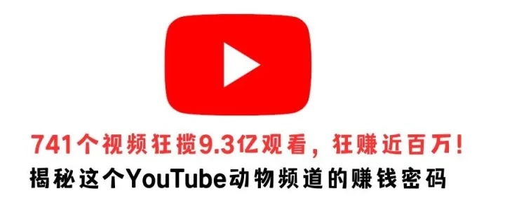 741个视频狂揽9.3亿观看，狂赚近百万！揭秘这个YouTube动物频道的赚钱密码