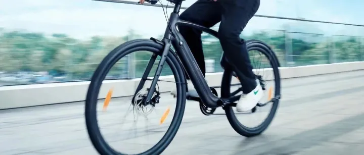 大浪淘沙之下：E-bike新秀吸金千万美元，逆势登顶北美