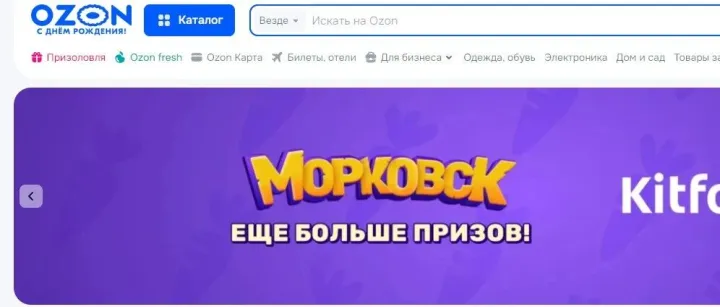 Ozon选品爆单秘籍，小白也能轻松上手！