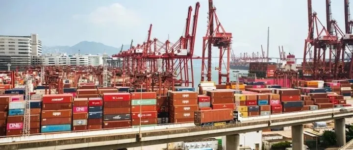 香港公司必看！转让定价从 “看不懂” 到 “会操作”，这篇讲透了