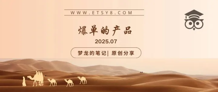 Etsy 平台正在爆单的产品（US） 2025.07