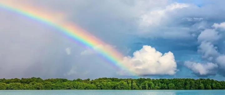 东盟经济韧性凸显，中企出海新机遇来袭！