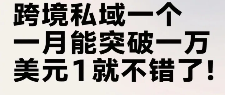 跨境私域一个月能突破一万美元就不错了！