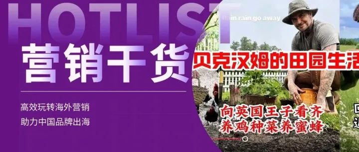 国产品牌"7日销量破万"，全球家居园艺市场还暗藏什么机遇？