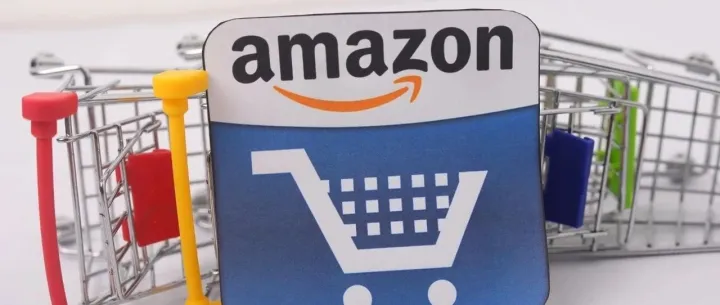 终于有博主把亚马逊定制Vine 绿标说清楚了