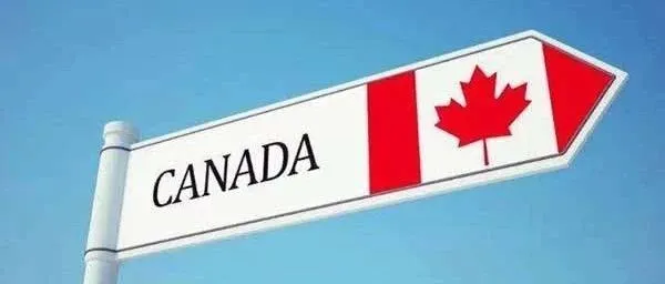 2025年加拿大海运家具门到门的主流种类