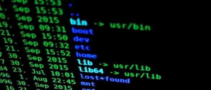 数字化跨境物流更进一步 | 新WMS正式上线，送货更简单，入仓单查询更方便！