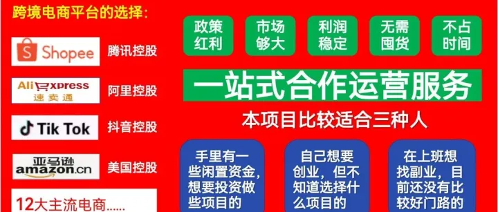 跨境电商出海四小龙分析！