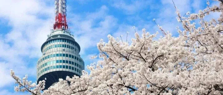 第34周（8.18-8.24）上海-韩国的运价