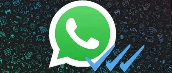WhatsApp  API全面指南：功能及申请方法详解！
