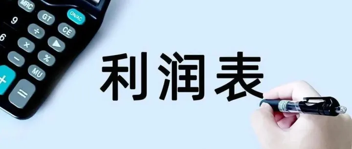 利润表 <em>Income</em> Statement