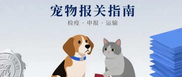 一篇文章带你彻底弄懂宠物清关流程、清关资料及注意事项！