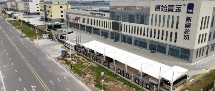 新疆电商协会常务副会长单位——新疆原始黄金乳业有限公司