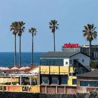 越南商标注册指南：新手必看，流程、费用、注意事项全解析