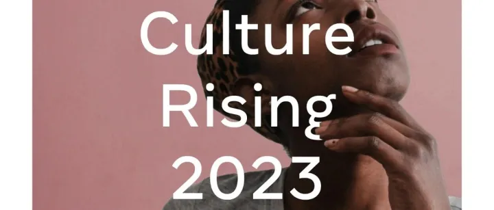 Meta 2023 趋势报告