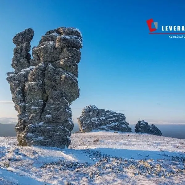 光伏领军企业的碳排放管理突破：<em>Leverage</em>助力开启绿色新征程