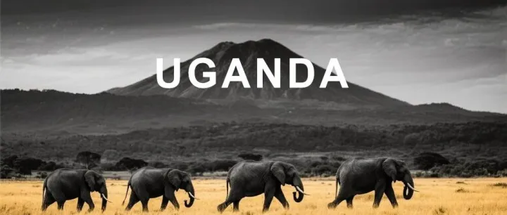 掘金乌干达：非洲明珠的人口红利与市场机遇全景洞察