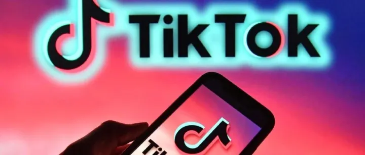 开篇：TikTok 海外热度 —— 全球流量巨擘的崛起