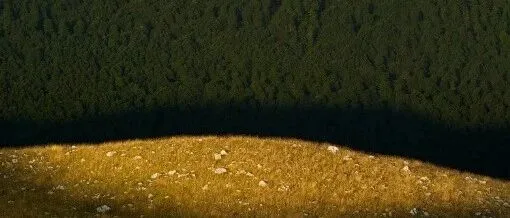 最强广谱ADC登场