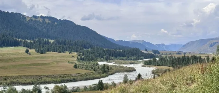 做销售，没业绩是因为你没做这5件事