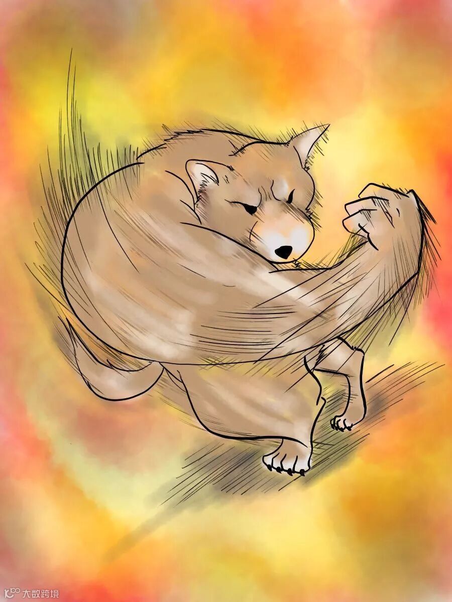 肌肉柴男的右勾拳，一旦接受这个设定就回不去了！- 大数跨境