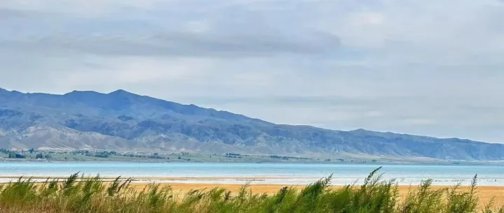 做销售，客户不回你这五句话就够了