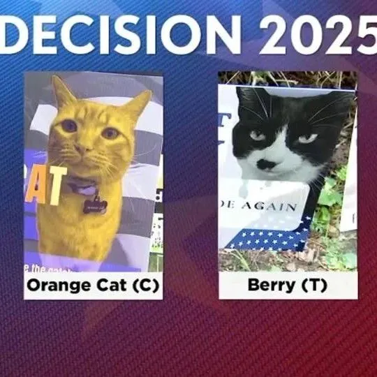 全员自制海报，连下<em>三</em><em>滥</em><em>手段</em>都来了？？