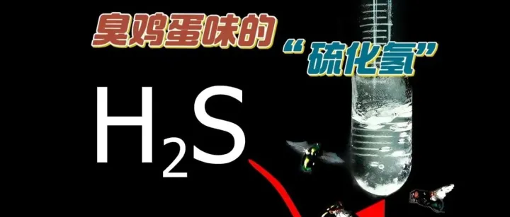 硫化氢的提纯及应用