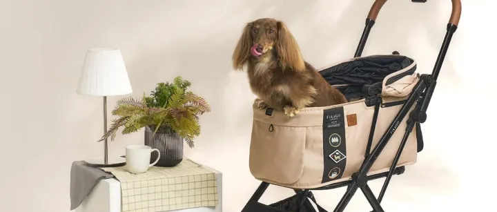 跨境电商新势力FikaGO借力Shopify，开启美国市场增长之旅！