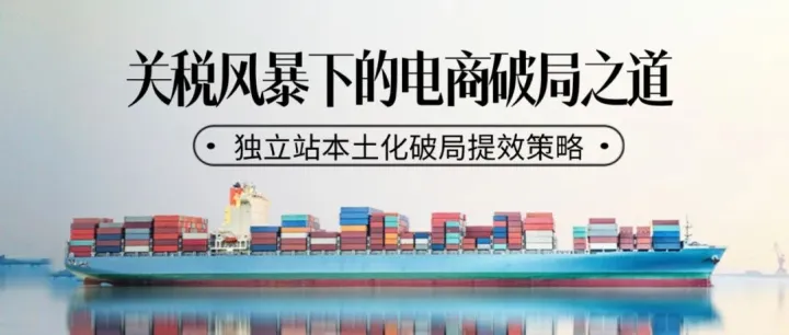 ‌关税风暴下DTC独立站突围战：从成本困局到增长破局的支付解法
