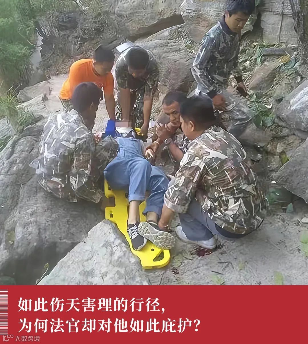 消失的她》原型曝光：被丈夫推下悬崖后，她回来了- 大数跨境