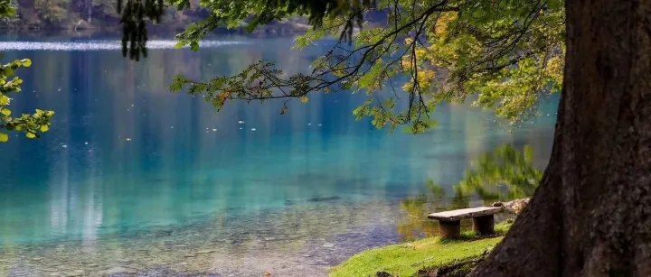 <em>Data</em> for AI <em>实践</em>之路：从<em>数据</em>治理到智能应用！