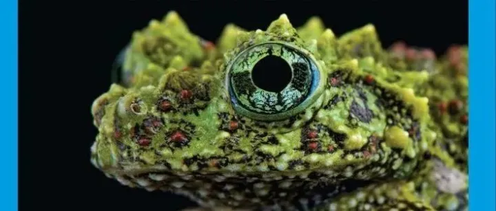 Biology The <em>Dynamic</em> Science 5e By Russell, Hertz