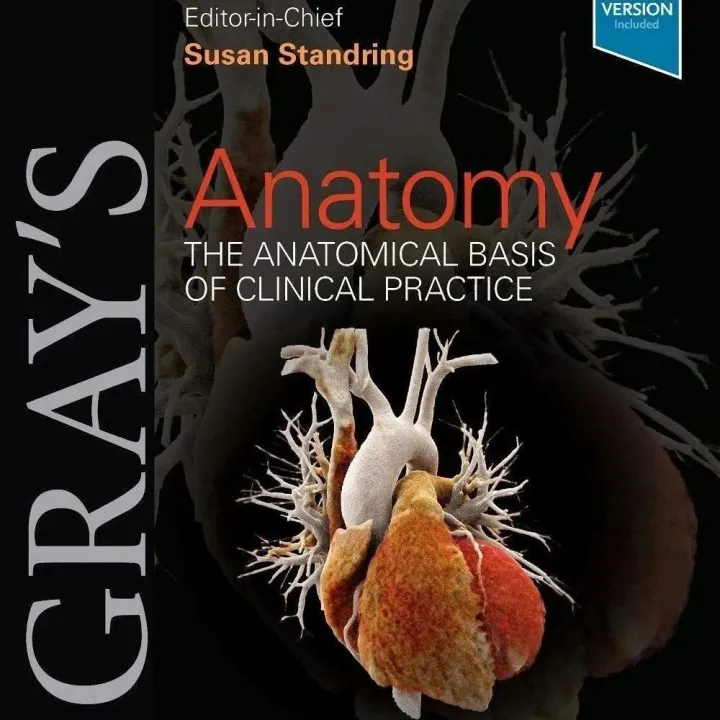Gray's Anatomy The Anatomical <em>Basis</em> Of Clinical Practice 42e