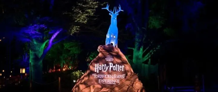 神秘生物出没！哈利·波特“禁忌森林”体验登录温哥华！明天门票开售！
